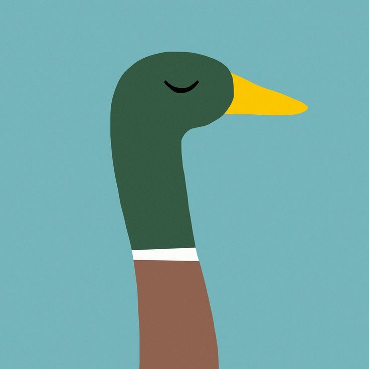 Character design 5